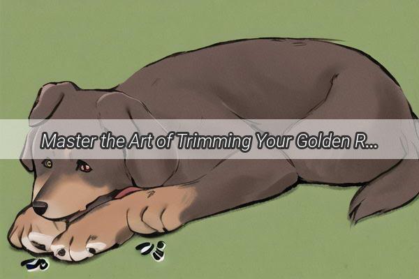 Master the Art of Trimming Your Golden Retrievers Nails A StepbyStep Visual Guide